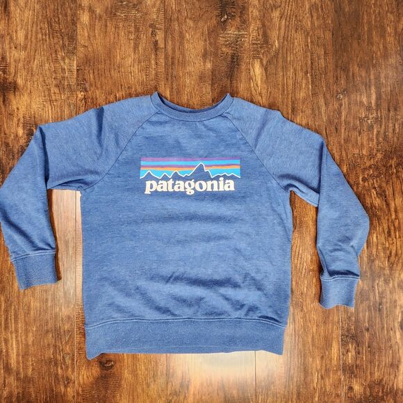 Patagonia Other - PATAGONIA Monte Fitz Roy Blue Pullover Crew Neck Sweatshirt Youth Size Large
